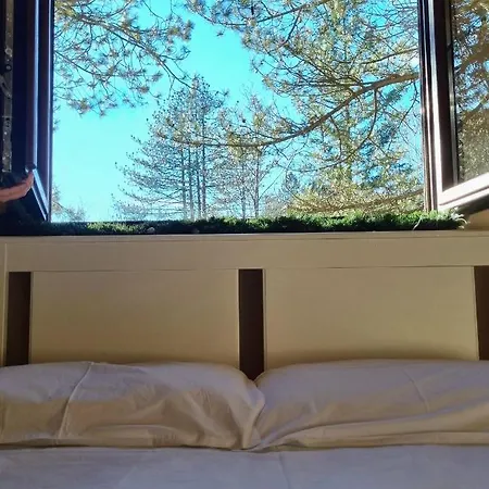 Apartamento Lucic Zlatibor