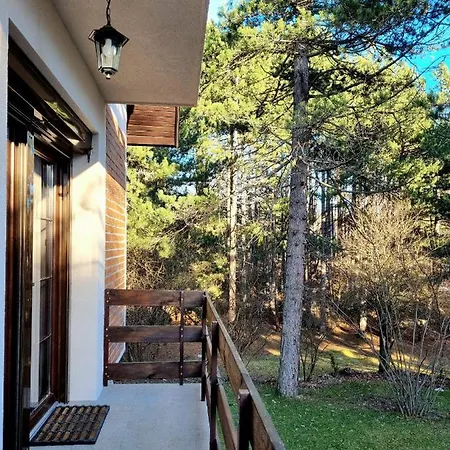 Apartament Lucic *
