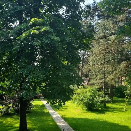 Apartament Lucic *