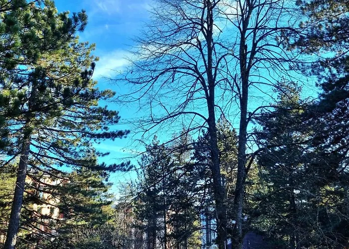 Lucic * 兹拉蒂博尔