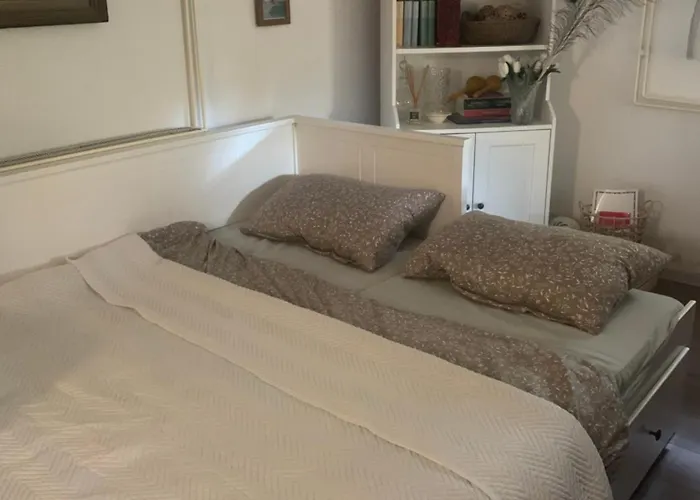 Lucic * 兹拉蒂博尔